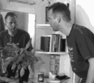 Funny Optical Illusions