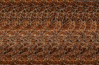 Autostereograms Online